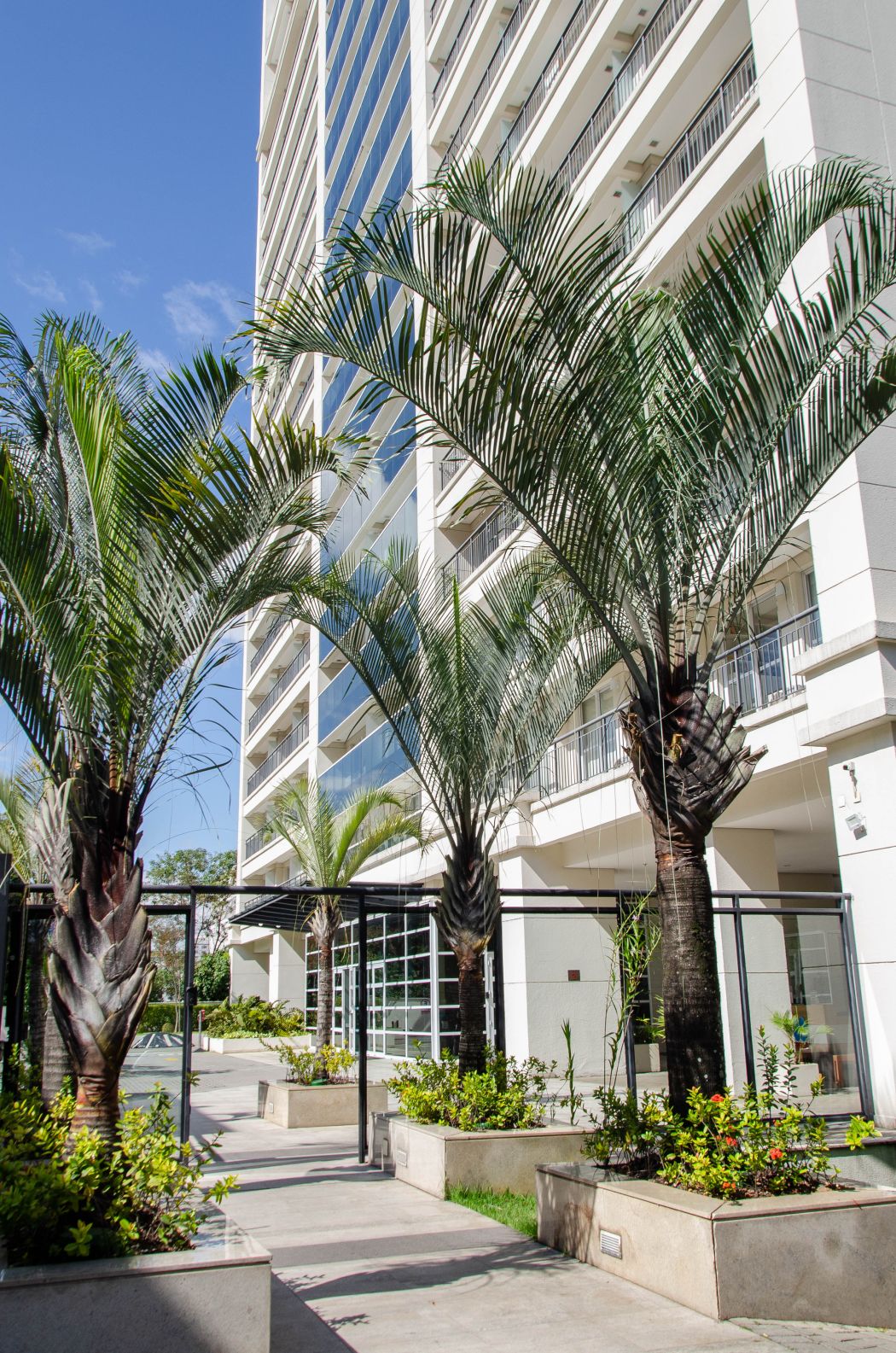 Fachada de prédio com palmeiras na entrada